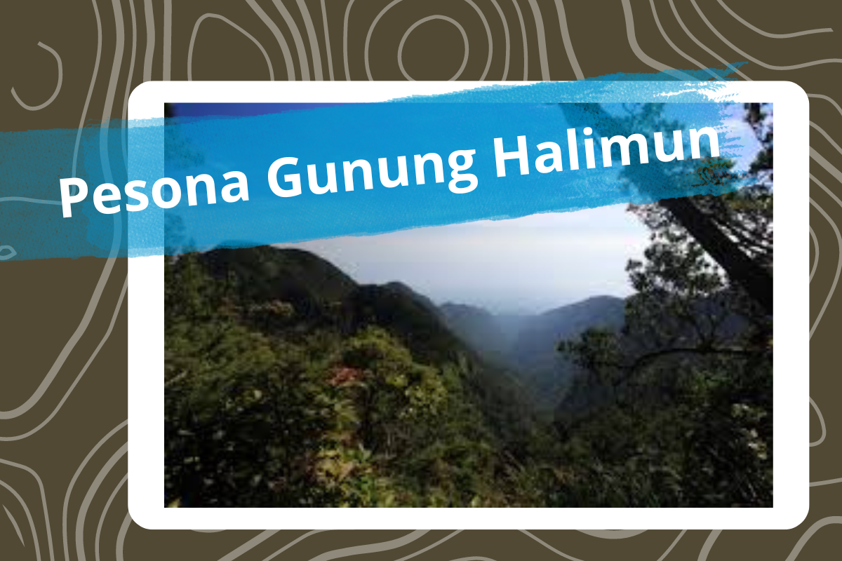 5 Hal Menarik dari Gunung Halimun yang Terletak di Kawasan Hutan Hujan Primer Terbesar di Jawa