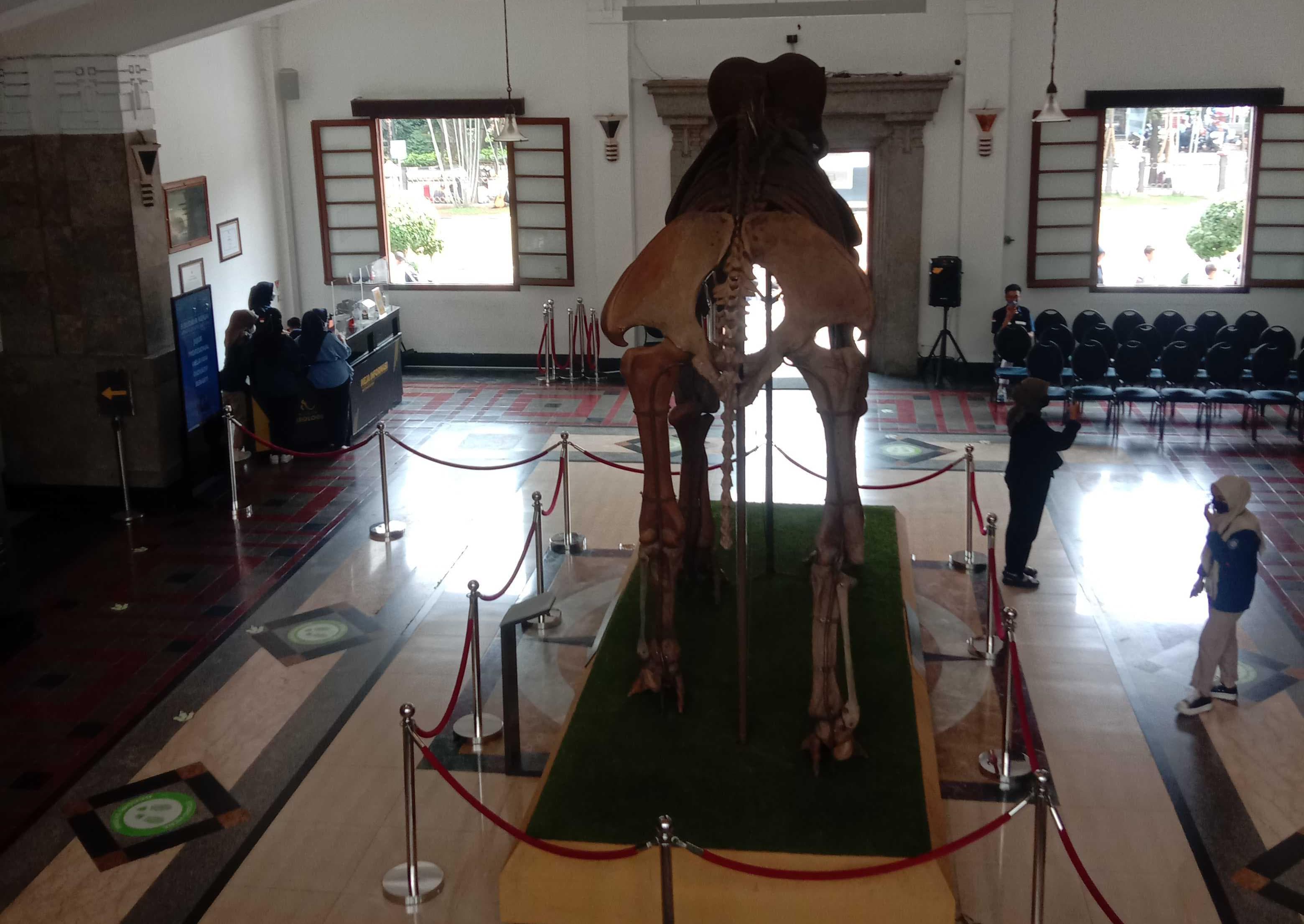 Jadi Museum Favorit, Apa Saja Benda-benda yang Disimpan di Museum Geologi Kota Bandung? Ini Jawabannya