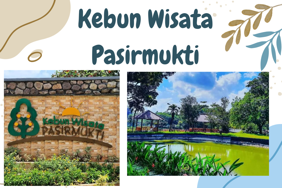 5 Aktivitas Edukatif Seru di Kebun Wisata Pasirmukti