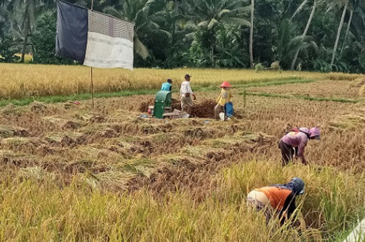 Presiden Minta Aturan Pupuk Bersubsidi Disesuaikan untuk Meningkatkan Penggunaan Pupuk Organik