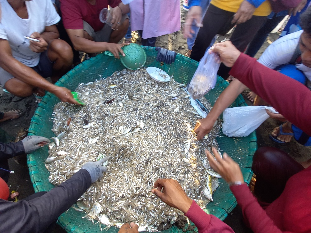 Nelayan Pangandaran Paceklik Hasil Tangkapan Ikan, Bupati Sampaikan Alasannya 
