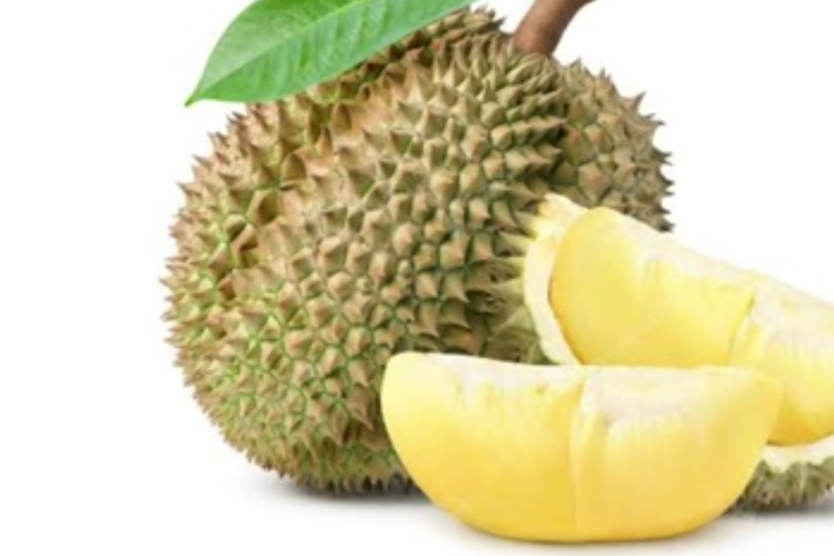 Penderita Diabetes Boleh Makan Durian, Benarkah? Cek Faktanya di Sini!