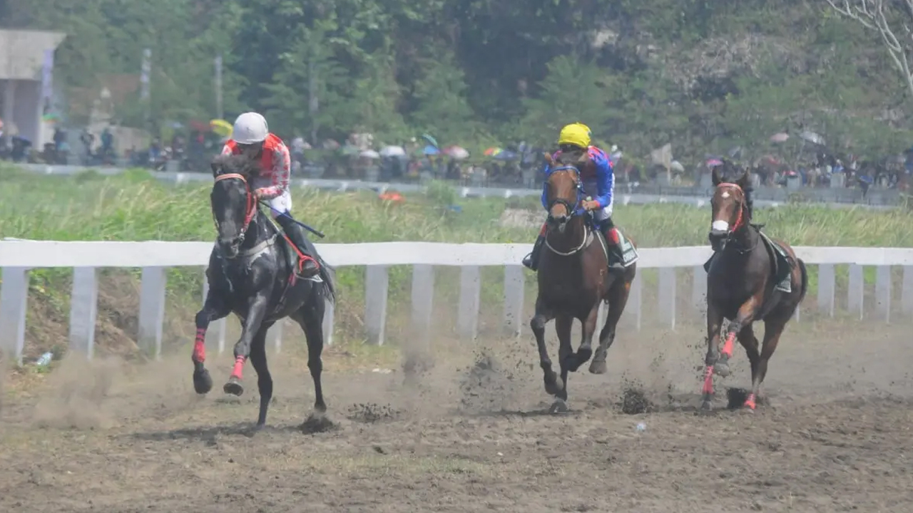 Hebatnya! Pacuan Kuda di Pangandaran Mirip di Inggris, Bikin Penasaran Aja