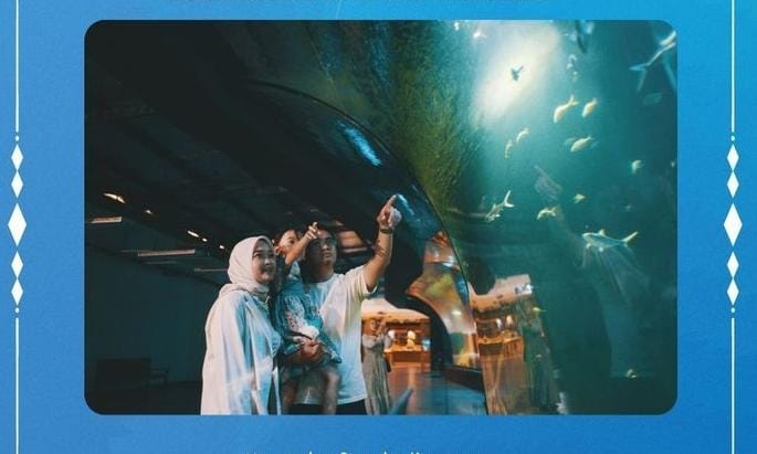 Ini Harga Tiket Masuk Aquarium Indonesia Pangandaran pada Libur Lebaran 2024, Simak Fasilitas yang Ditawarkan