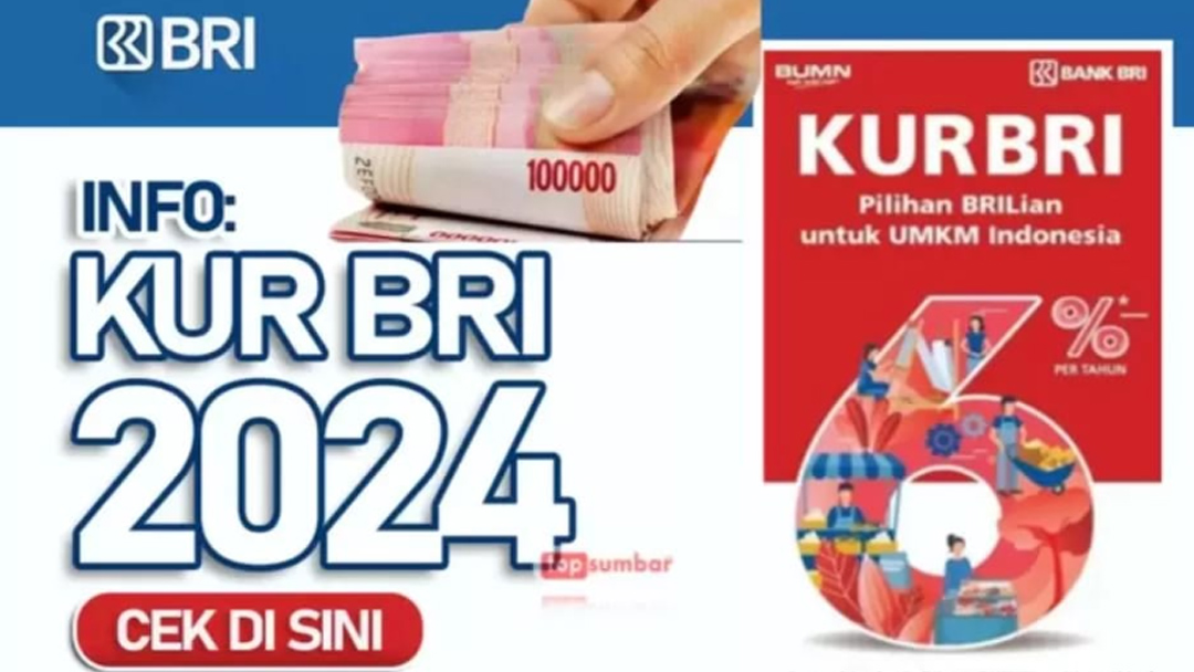 KUR BRI Jadi ’Pahlawan’ Permodalan UMKM