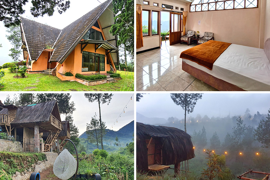 Argapuri Resort di Jungle Ciwidey Tempat Glamping di Bandung Menikmati Alam dan Kenyamanan Kamar Pribadi