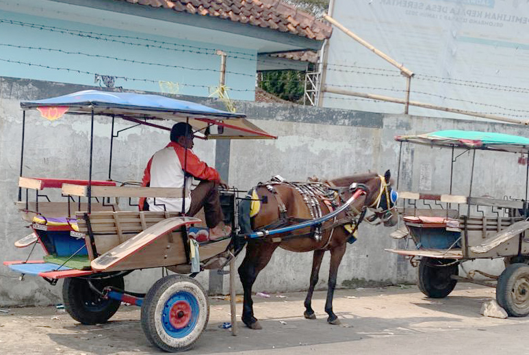 Antisipasi Kemacetan Lebaran, Delman Dilarang Beroperasi di Jalur Utama Mudik, Pemkab Siapkan Uang Kompensasi