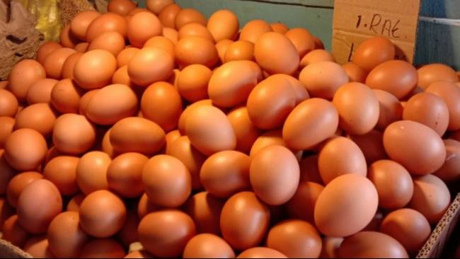 Inilah 6 Dampak Buruk Terlalu Banyak Mengkonsumsi Telur Ayam