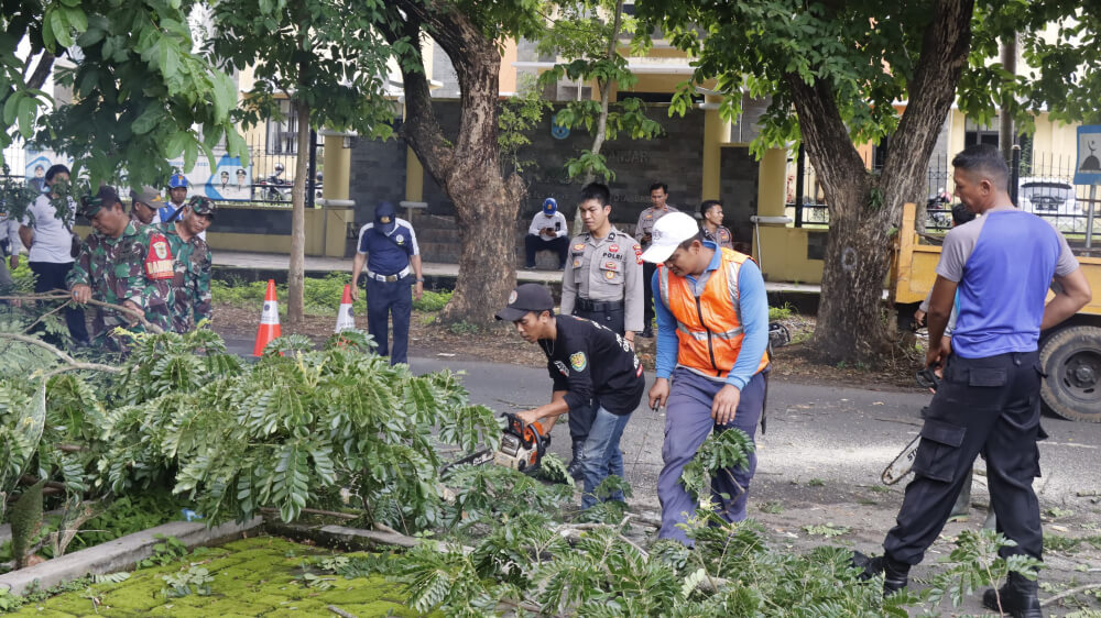 Rawan Pohon Tumbang, Ini yang Dilakukan Petugas Gabungan di Kota Banjar
