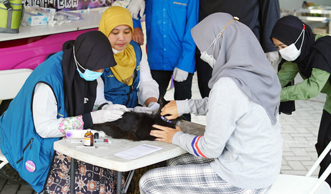 Ada 17.289 Hewan Pembawa Rabies di Garut