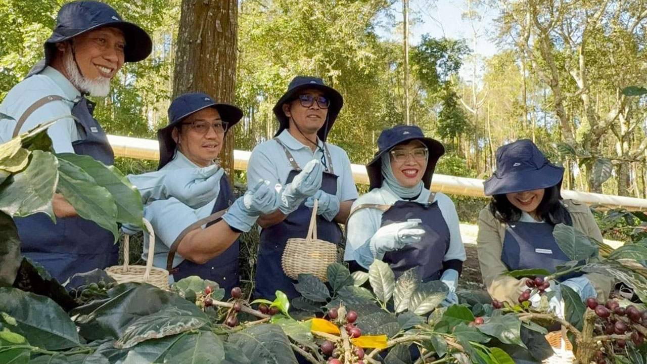 Kopi Kamojang Tembus Pasar Asia dan Eropa Berkat Teknologi Geothermal Dry House