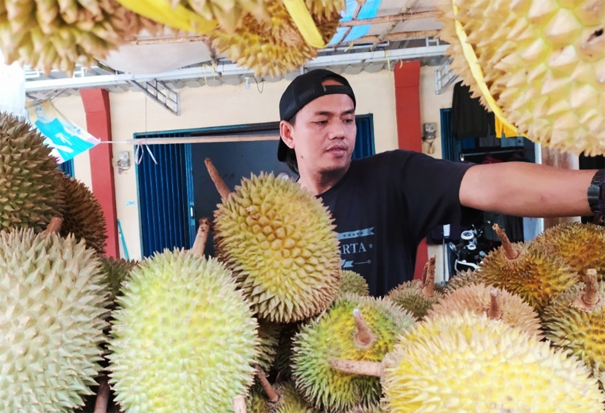 Nah, Berapa Harga Durian Lokal Tasikmalaya Per Butir di Pinggir Jalan? Paling Murah Seharga 1 Mangkok Bakso