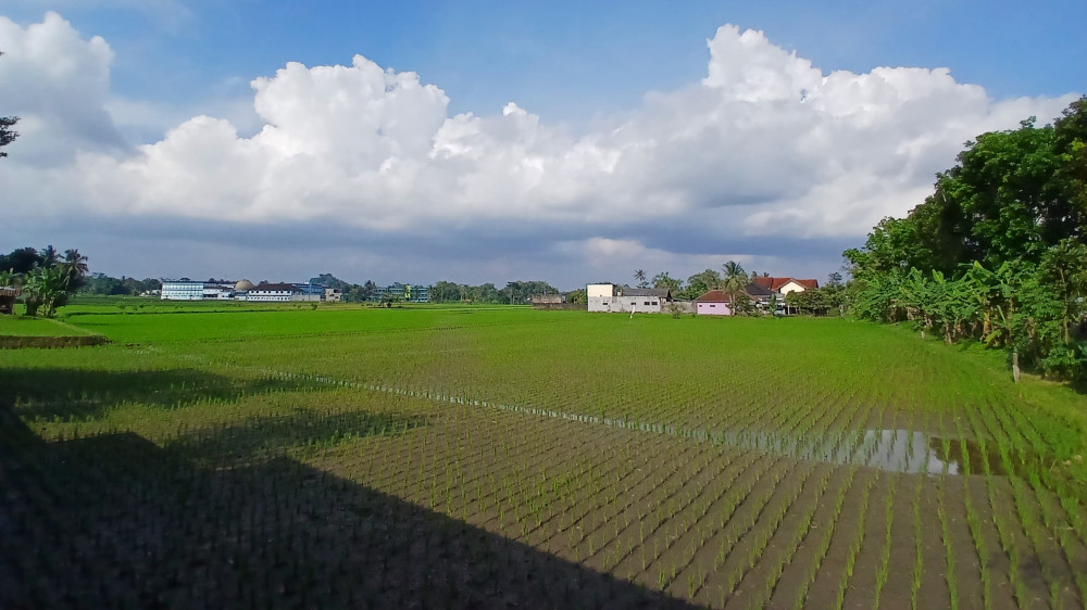 Nasib Petani di Tasikmalaya Kian Terjepit, Anggaran Minim hingga Pupuk Dijual di Atas HET