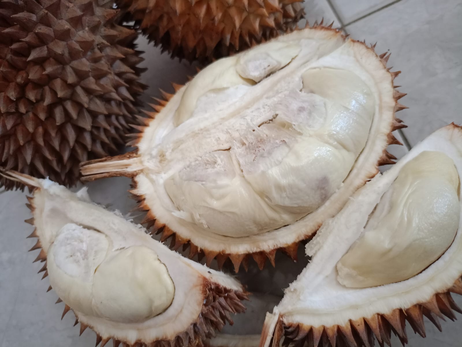 Wow, Kecamatan di Tasikmalaya Ini Hasilkan 7.708 Ton Durian Legit yang Harganya Sangat Terjangkau