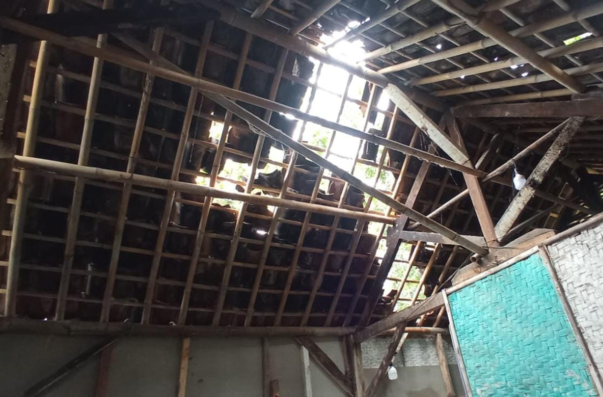 Rumah Warga di Kota Banjar Tertimpa Pohon Tumbang, Awalnya Dikira Gempa