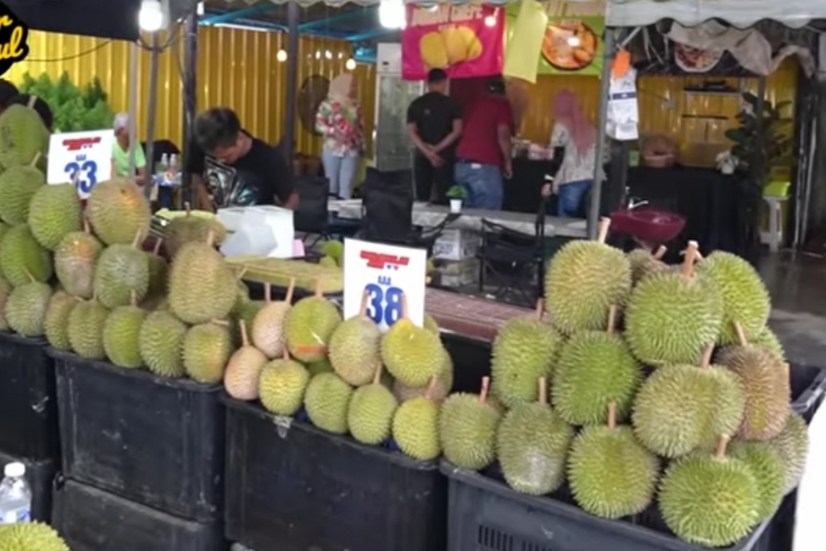 Pecinta Durian Wajib Tahu! Begini Cara Memilih Durian yang Bagus