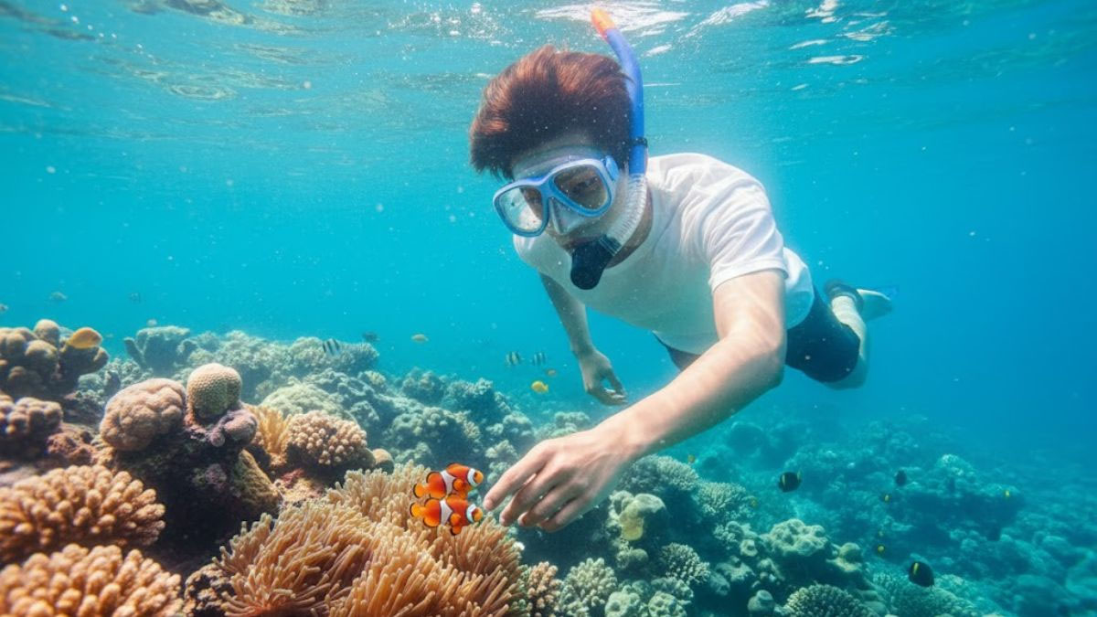 Ciptakan Foto Snorkeling Realistis Cuma Modal Prompt AI, Keren Banget!