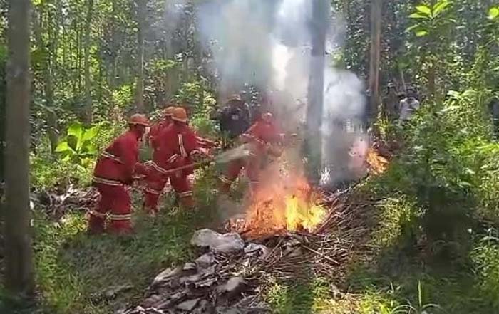 Tim Gabungan Sukses Padamkan Api di Gunung Babakan Kota Banjar