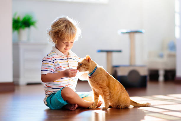 Bahaya Bulu Kucing bagi Anak, Kenali Penyakit yang Bisa Ditularkan dan Cara Pencegahannya