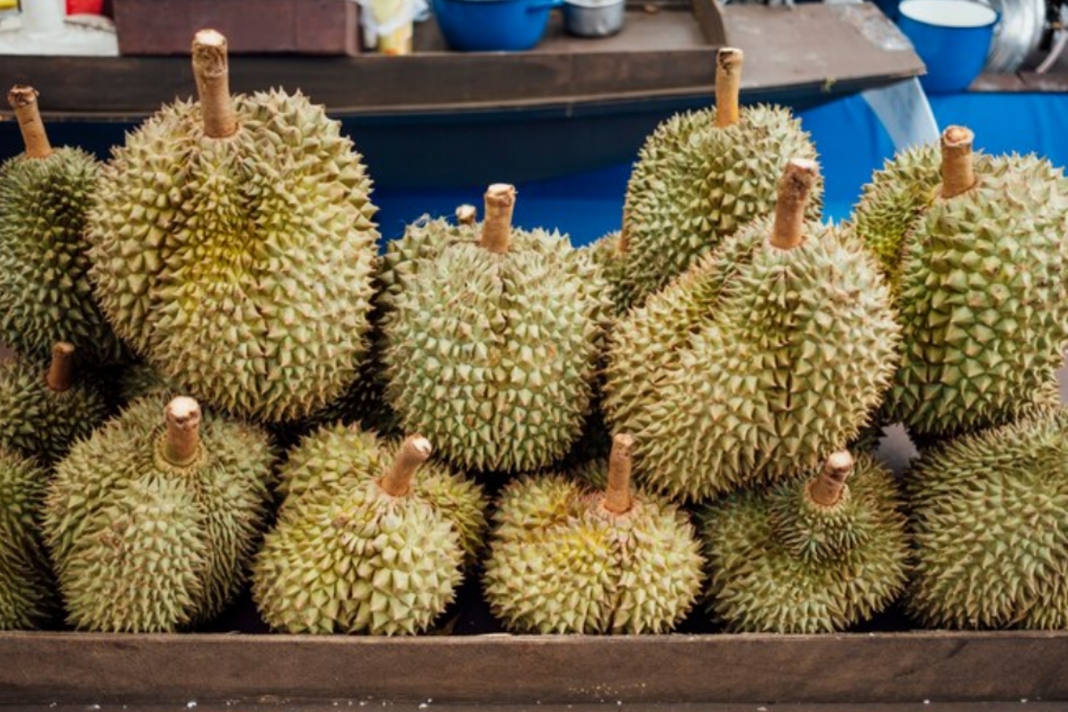 Membedah Tiga Durian Termahal di Dunia: Keistimewaan dan Faktor Yang Membuat Harganya Fantastis