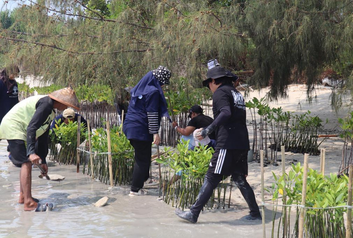 Dukung Upaya Pemerintah Bebas Emisi Karbon, BRI Kembali Tanam Bibit Mangrove di Pulau Tidung