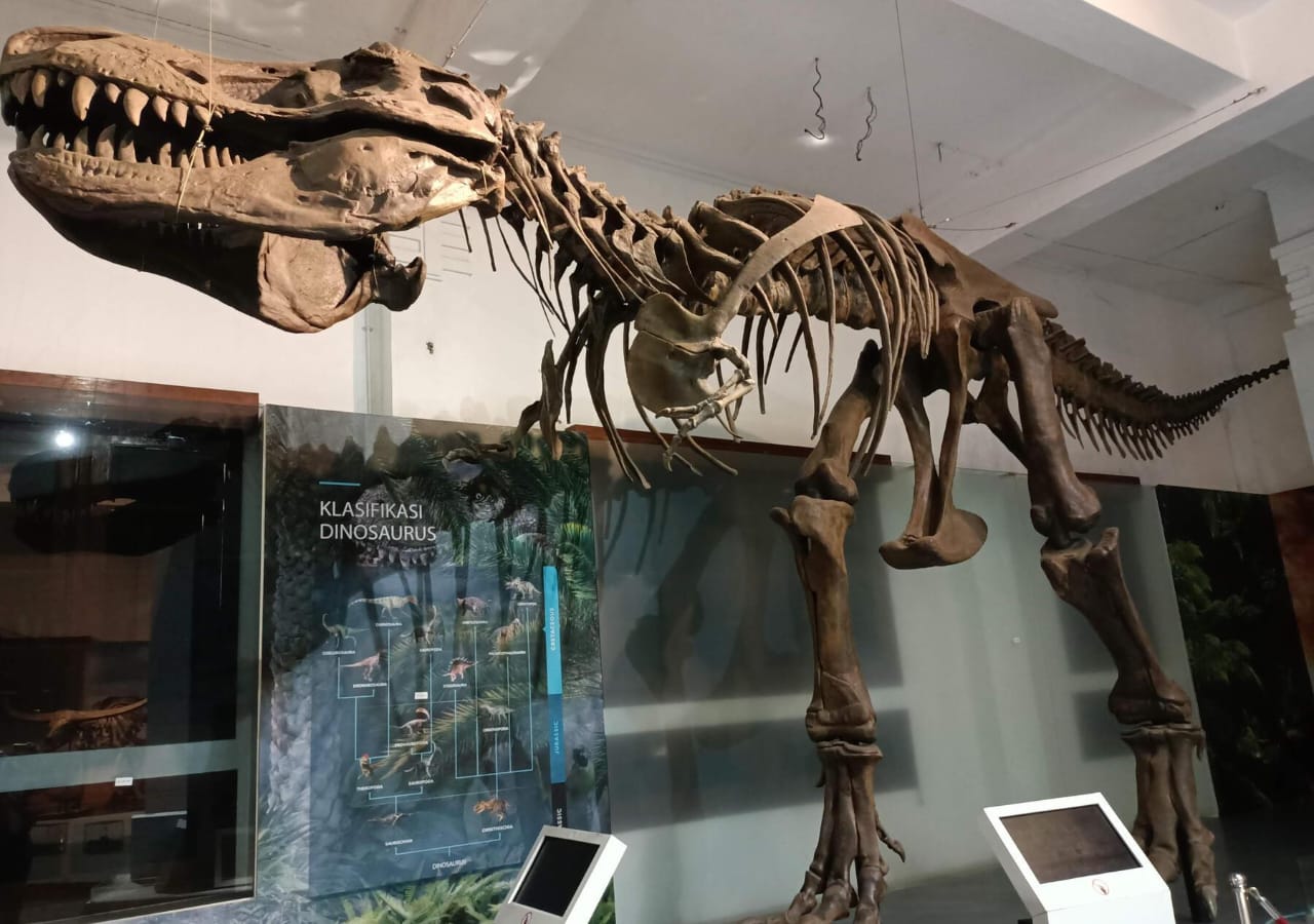 Wisata Edukasi di Kota Bandung, Ini Koleksi Unggulan yang Disimpan di Museum Geologi, Ada Batuan Hingga Fosil