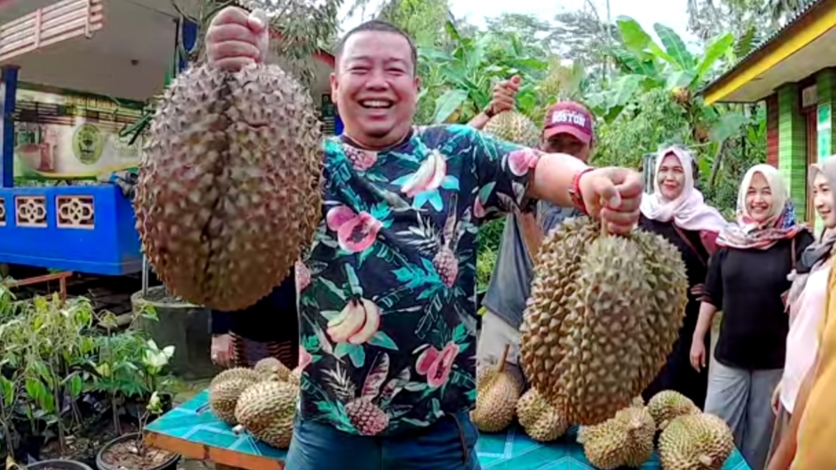 Durian Bhineka Bawor, Durian Raksasa dari Banyumas Harganya 900 Ribu, Hasil Budidaya Seorang Guru SD