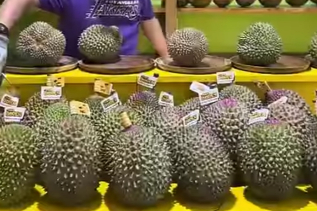 Fantastis! Harga Durian Musang King Tembus Rp 11 Juta, Begini Rasanya!