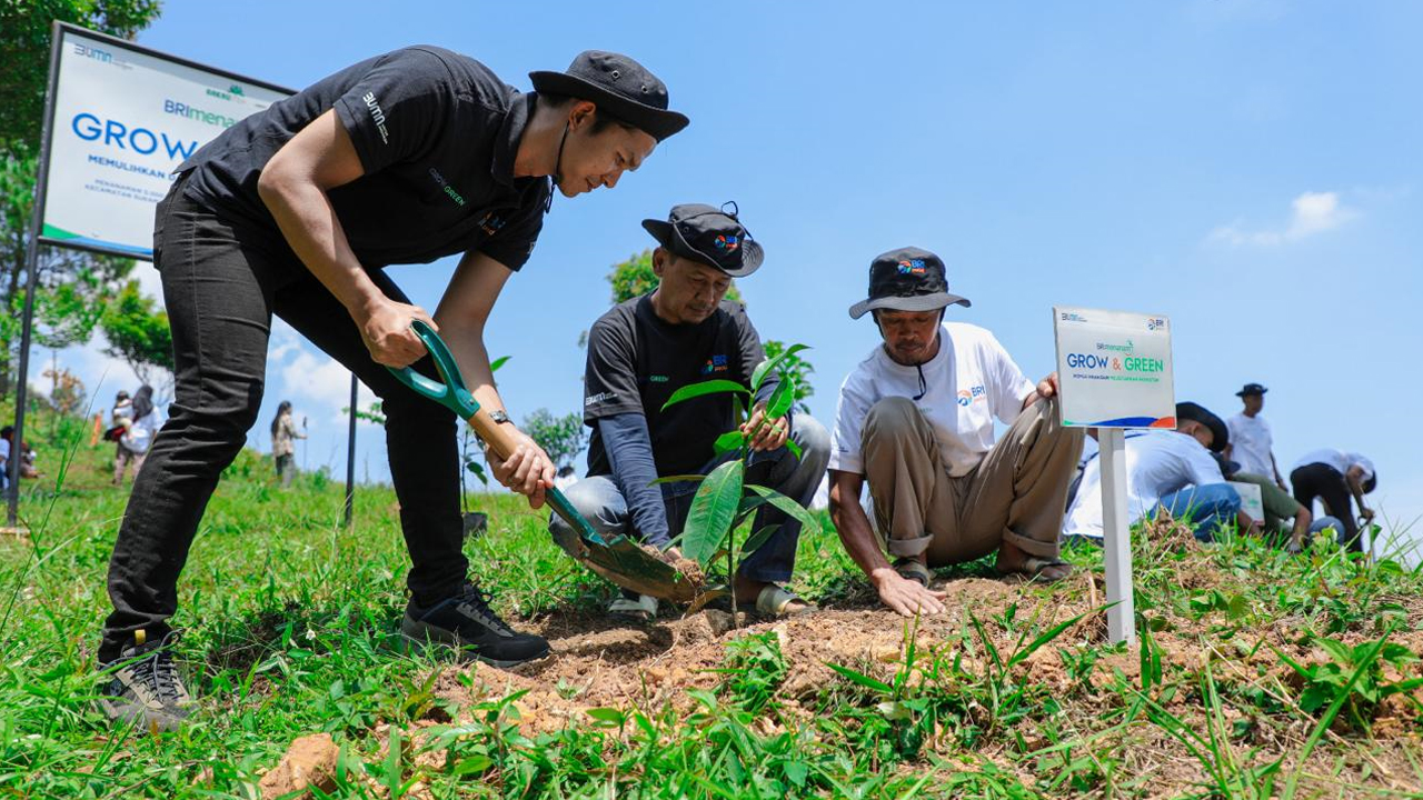 Pulihkan Hutan Bekas Tambang, Kelompok Tani Selamatkan Lingkungan Bersama BRI Menanam-Grow & Green