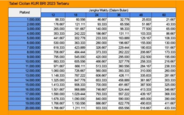 Ternyata Ada 4 Jenis Usaha yang Tidak Memenuhi Syarat untuk Pinjaman KUR BRI 2023, Apa Saja?