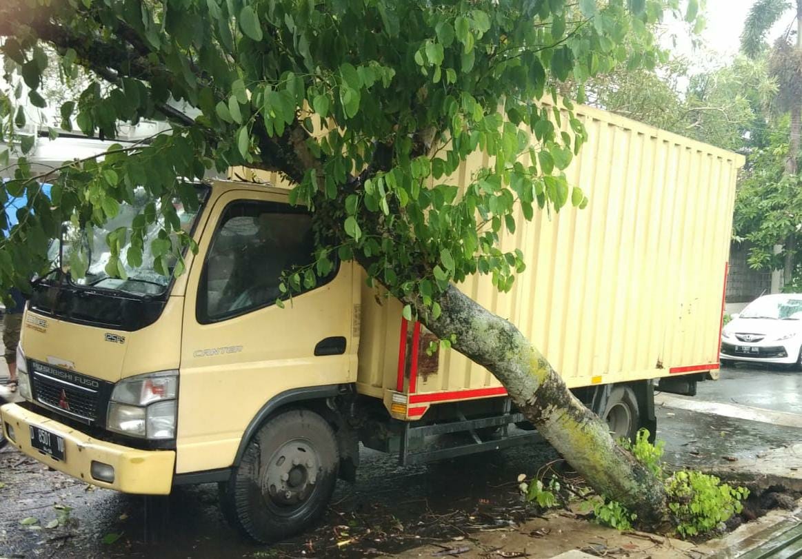 Sepekan 12 Pohon Tumbang di Bandung, BMKG: Waspada Cuaca Ekstrem Sampai 15 Oktober