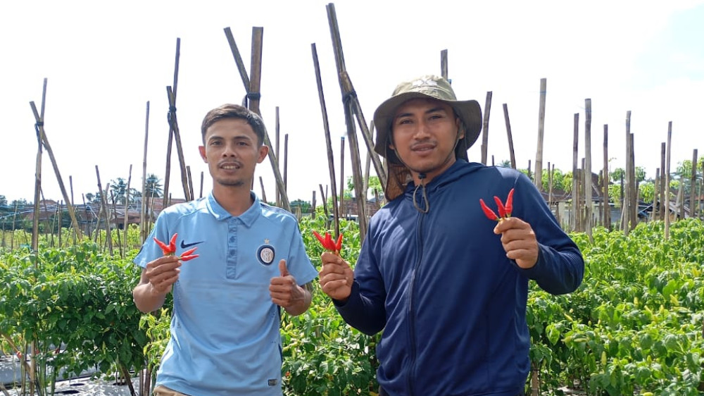 Taruna Tani Berkobar: Semangat Muda dari Kotabaru Kota Tasikmalaya yang Menghidupkan Lahan Tidur