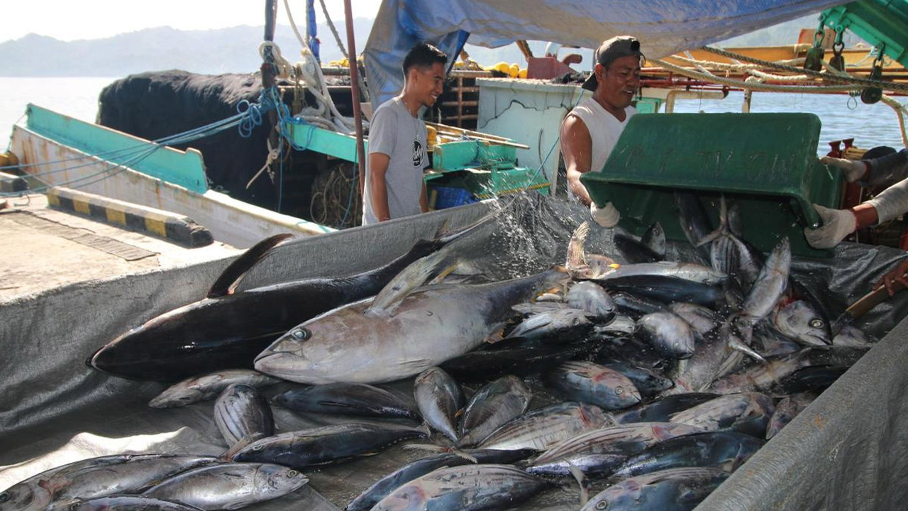 Lowongan Kerja 20.094 Awak Kapal Perikanan Dibuka, Simak Jadwal Rekrutmen KKP
