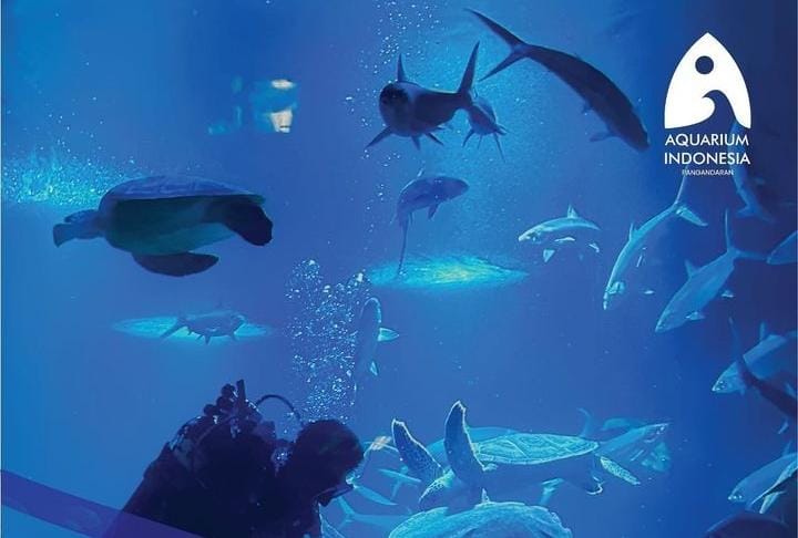 Harga Tiket Aquarium Indonesia Pangandaran Menjelang Libur Lebaran 2023, Simak Juga Cara Pesannya