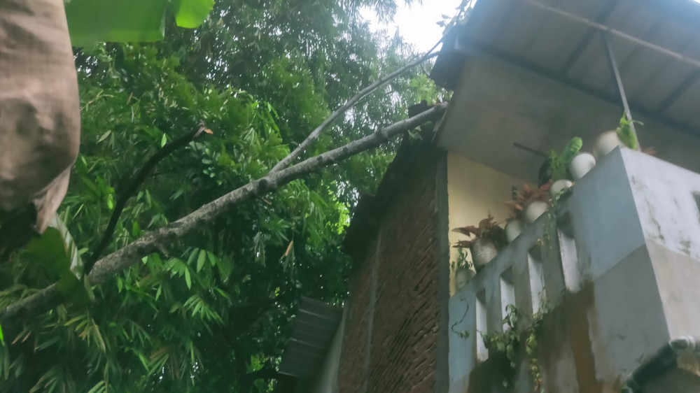 Hujan Disertai Angin Kencang Sebabkan Pohon Tumbang Timpa Rumah di Kota Tasikmalaya