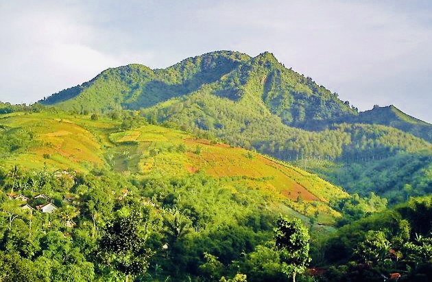 Di Balik Kegagahan Batu Kuda, Gunung Eksotis yang Menyimpan Cerita Mistis 