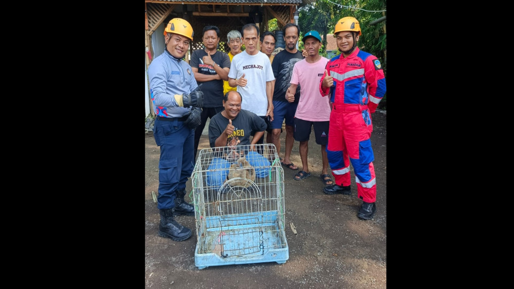 Satwa Dilindungi Muncul di Lengkong Kota Tasikmalaya 
