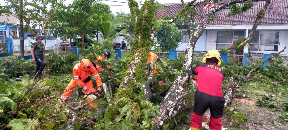 5 Rumah Roboh, Bencana Alam Pohon Tumbang di Kota Tasikmalaya Tutup Jalan Raya dan Timpa Rumah