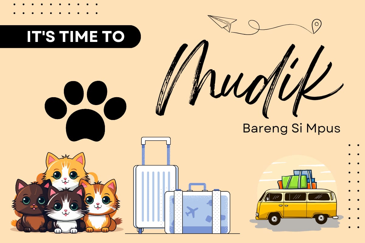 Sebelum Membawa Kucing Mudik Lebaran, Simak Dulu 7 Tips Biar Si Mpus Nyaman Selama Perjalanan