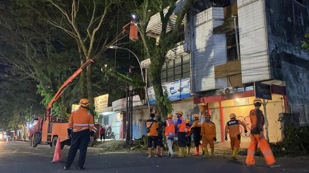 Cegah Pohon Tumbang Saat Musim Hujan, BPBD Kota Tasikmalaya Lakukan Pemangkasan Terukur