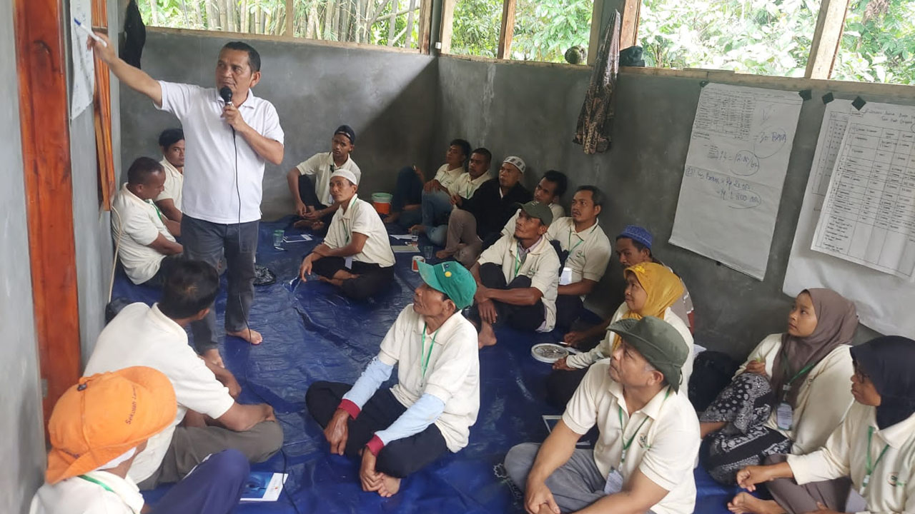 Pemkab Tasikmalaya Kembangkan Agribisnis Padi Organik di Tasik Utara Melalui Program Upland