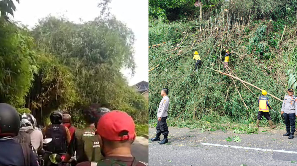 Rumpun Bambu Halangi Jalan Tasikmalaya-Garut, Arus Lalu Lintas Sempat Terganggu 