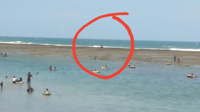 Ada Karang Nyungcung di Pantai Sindangkerta, Tasikmalaya. Cocok Jadi Spot Selfie
