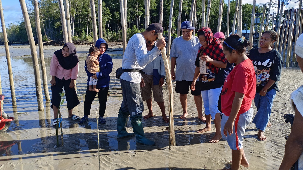 Melestarikan Hutan Mangrove Dumaring Kabupaten Berau, Warga Dilatih Tata Cara Menanam Pohon Bakau