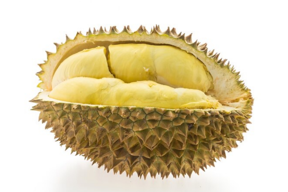 Wow! Durian Duri Hitam Harganya 600 Ribu Perkilogram, Banyak Diburu di Musim Durian Tahun Ini