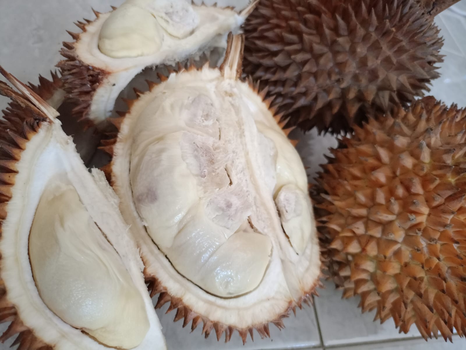 Durian Tasikmalaya Memiliki Biji Tipis Seperti Durian Musang King? Cek Penjelasannya di Sini 