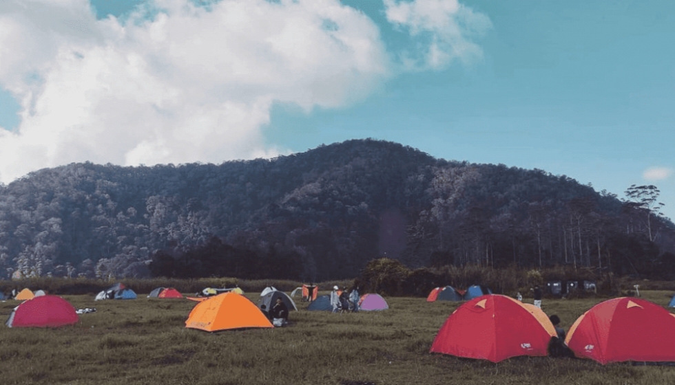 Tempat Camping di Bandung: Ranca Upas Favorit Sejak Dulu, Ada Bunga Rawa dan Penangkaran Rusa