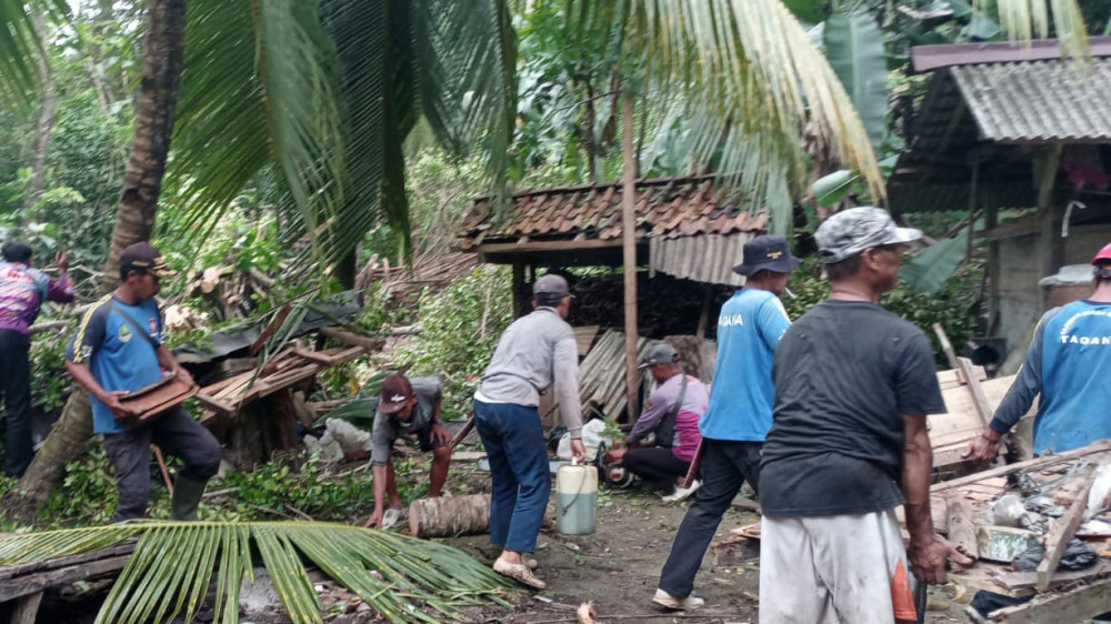 Bencana Pohon Tumbang di Pangandaran: Dalam Seminggu Empat Rumah Tertimpa