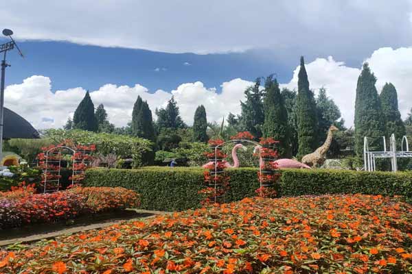 Taman Begonia Lembang: Wisata di Taman Bunga yang Tumbuh Sepanjang Musim