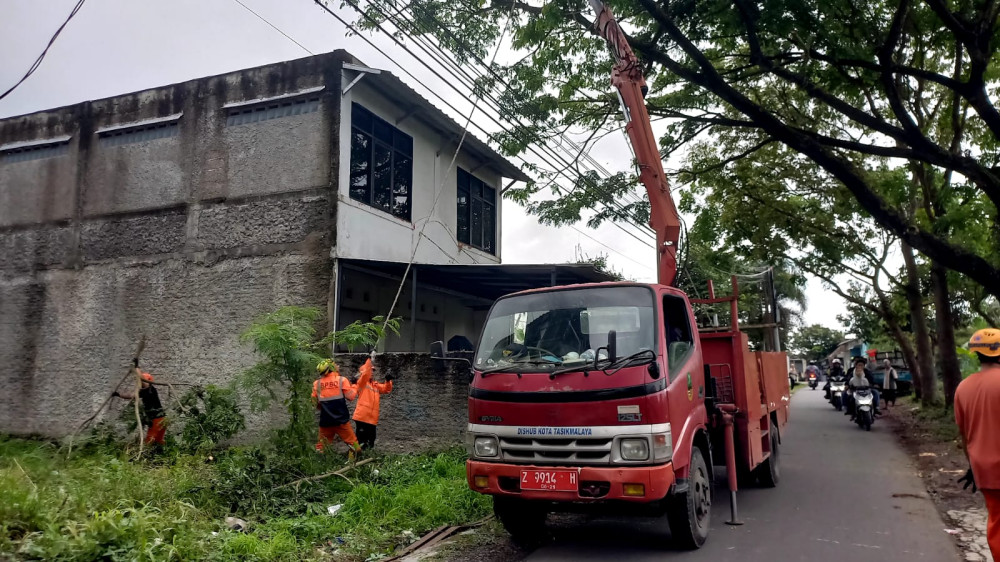 Cegah Kecelakaan di Jalan Raya, BPBD Kota Tasikmalaya Gencarkan Pemangkasan Pohon Rapuh